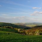 Warum in die Ferne schweifen, wenn das Gute liegt so nah, die Pfalz in der Abendsonne.