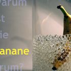 Warum ist die Banane krumm?