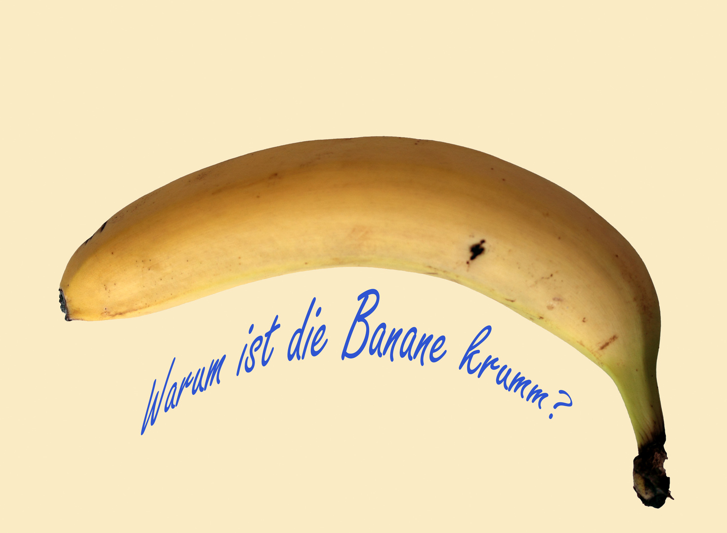 Warum ist die Banane krumm?