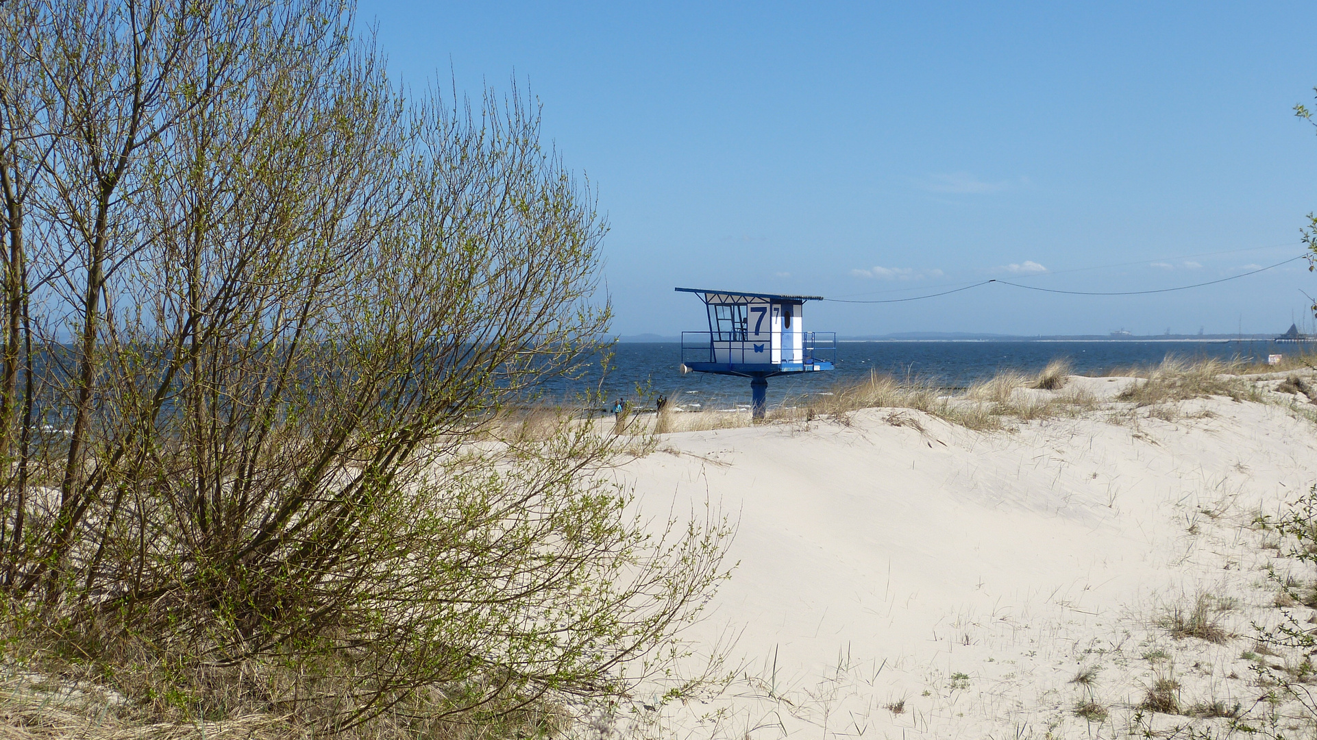 Warum ist die Insel Usedom so beliebt? 