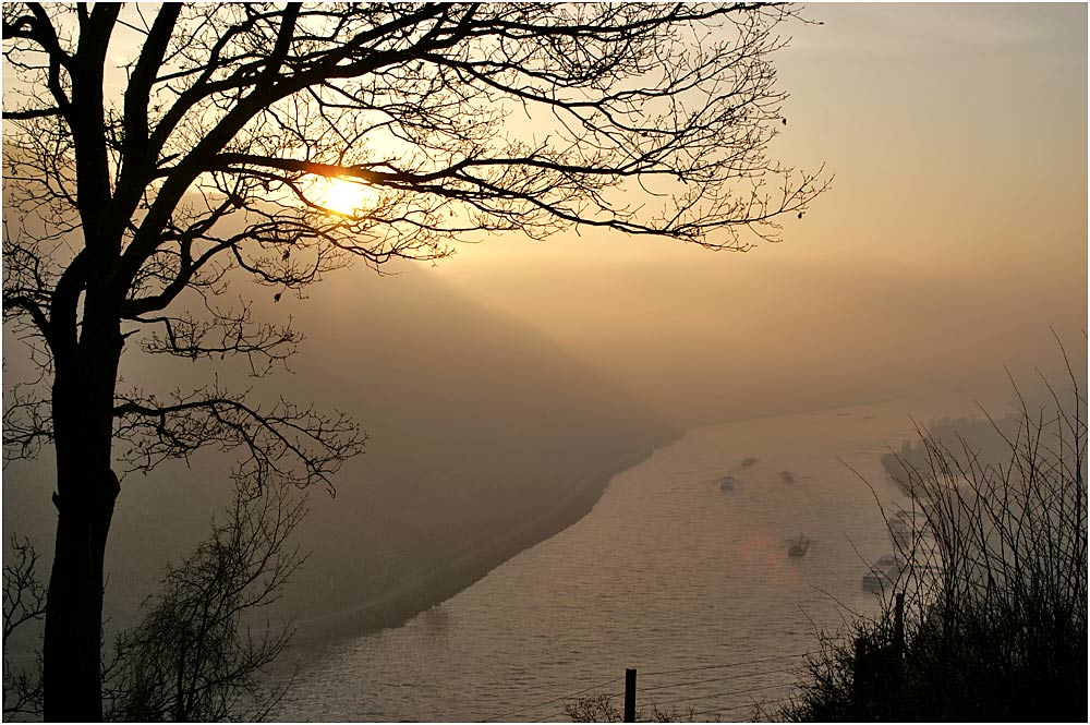 Warum ist es am Rhein so schön ....