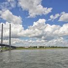 Warum ist es am Rhein so schön