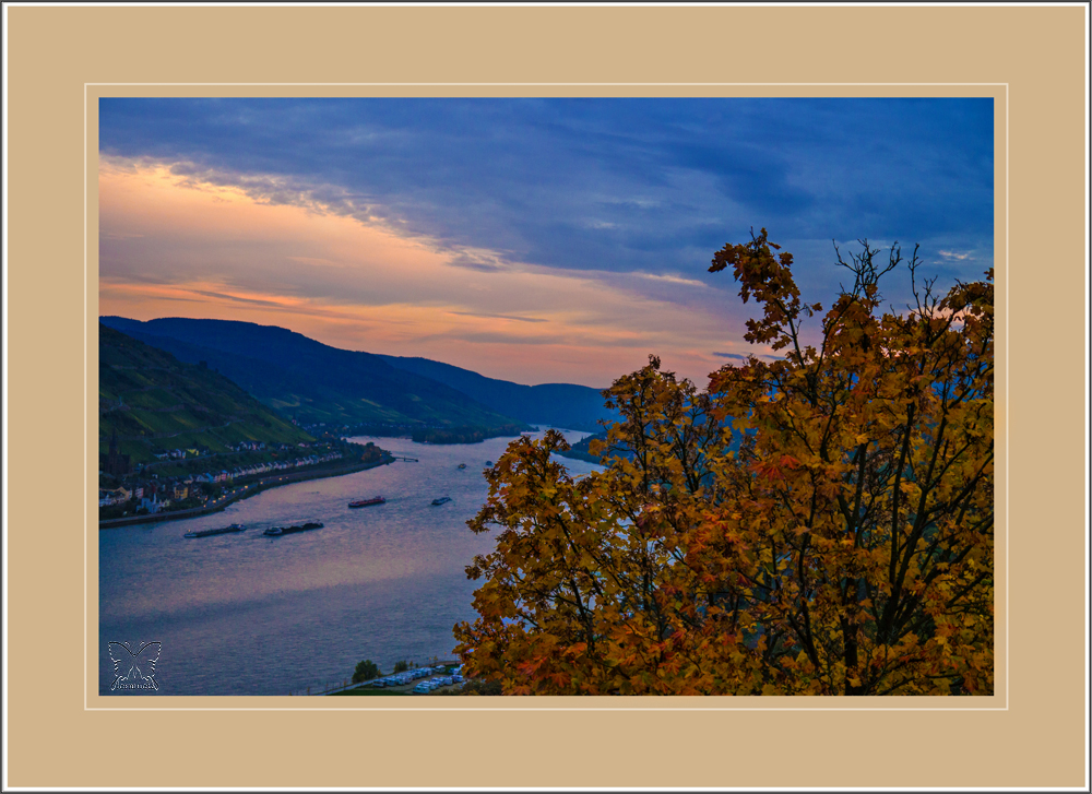 ~ Warum ist es am Rhein so schön :-) ~