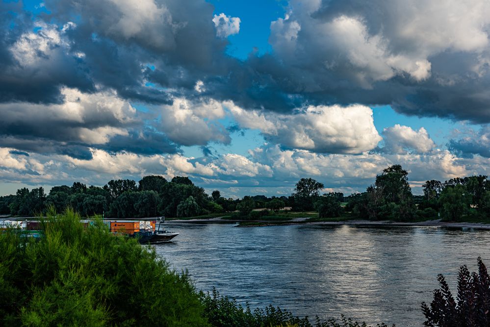   Warum ist es am Rhein so schön.?.. DSC_3248