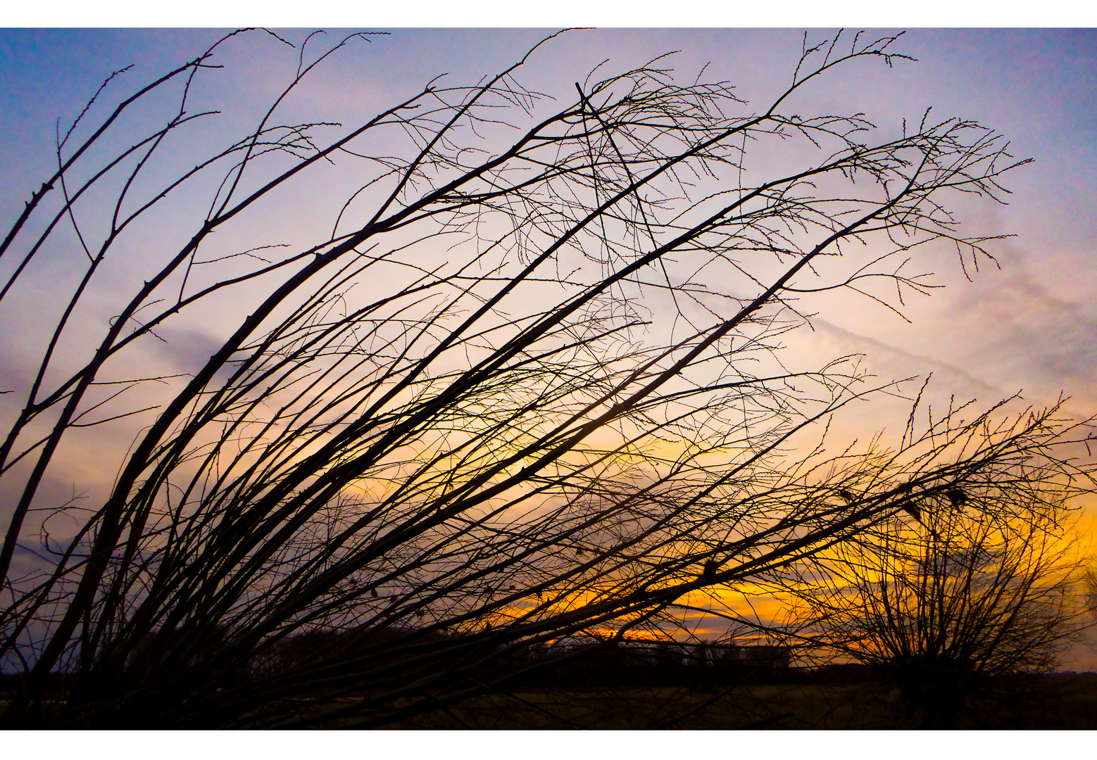 ~~ warum ist es am RHEIN so schön... (II)) ~~ Foto & Bild ...