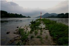 Warum ist es am Rhein so schön (XV) 