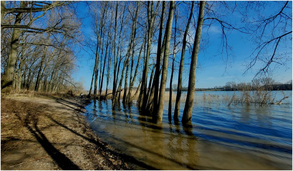 Warum ist es am Rhein so schön? (XXXIb)