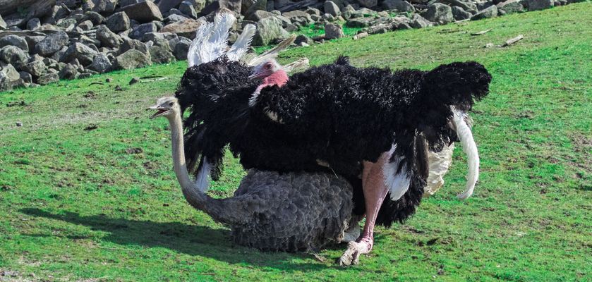 Warum lacht die so ???