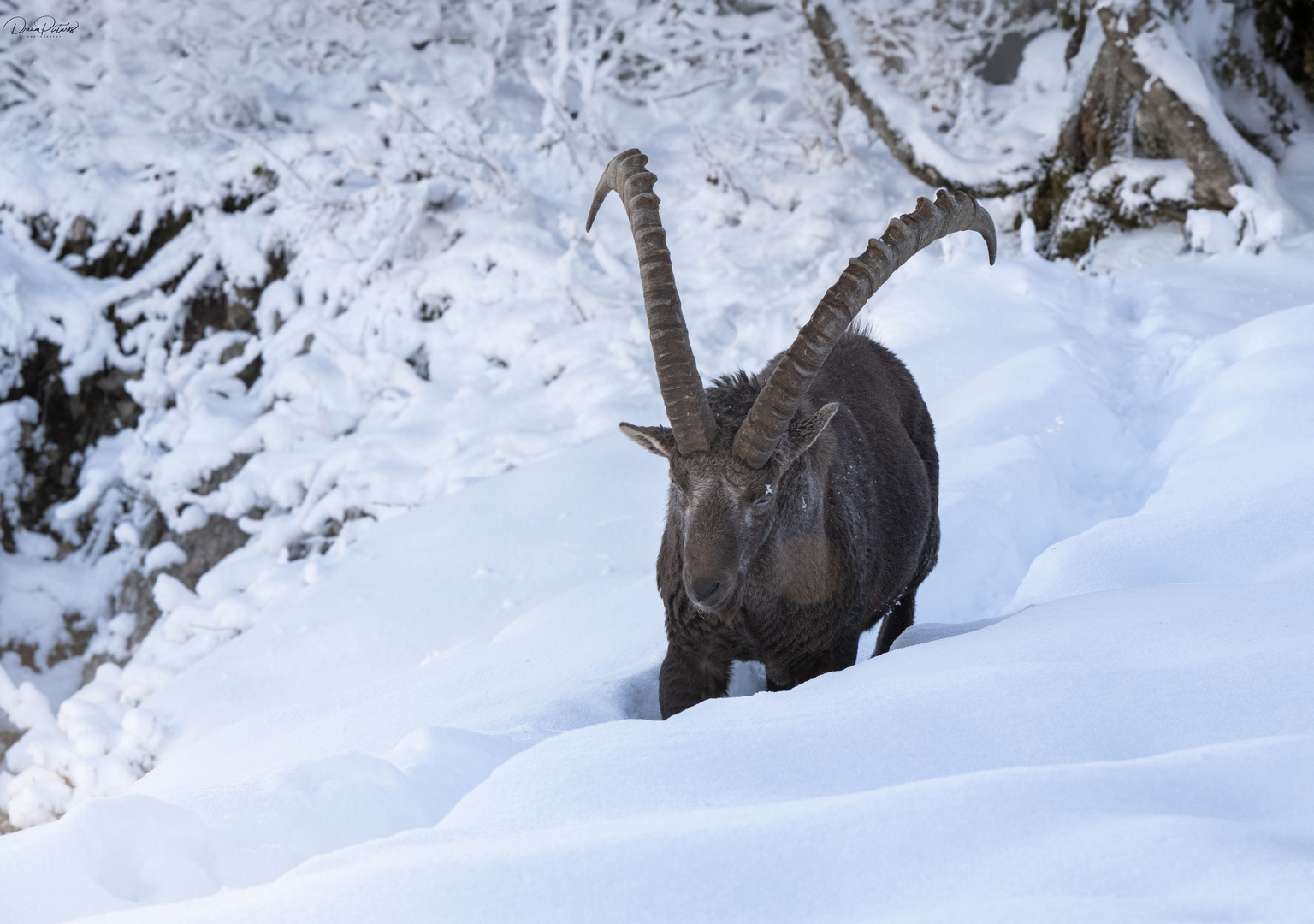 Warum muss das sooo viel Schnee haben.....