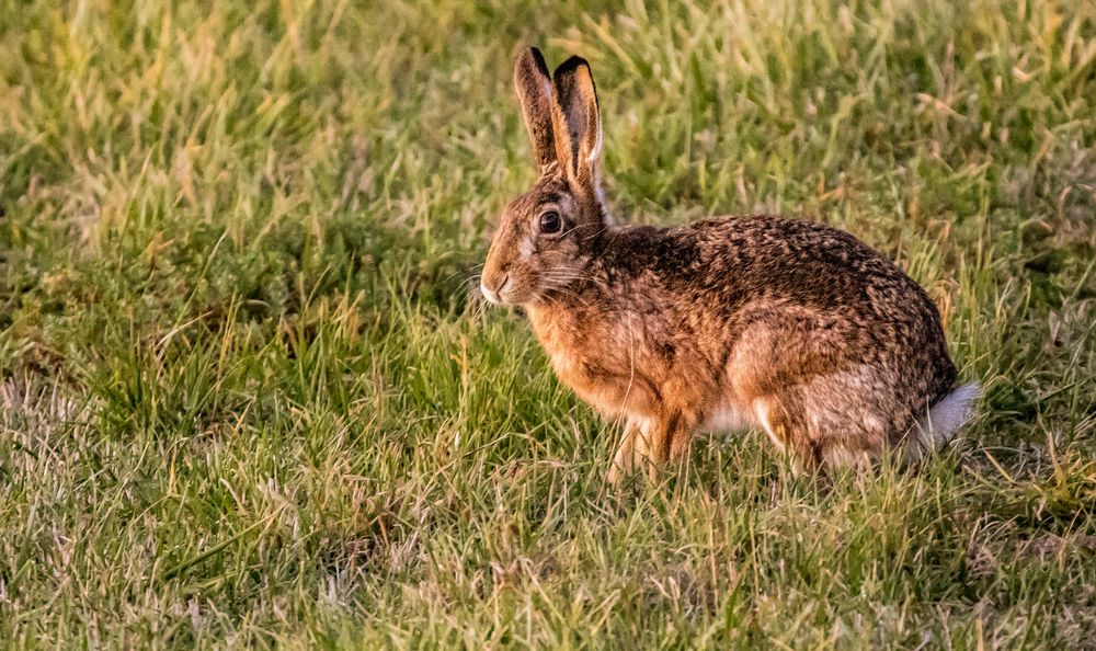 "WARUM NUR ......WARUM"? (ISO 16000 u. 1/30 aus der Hand)