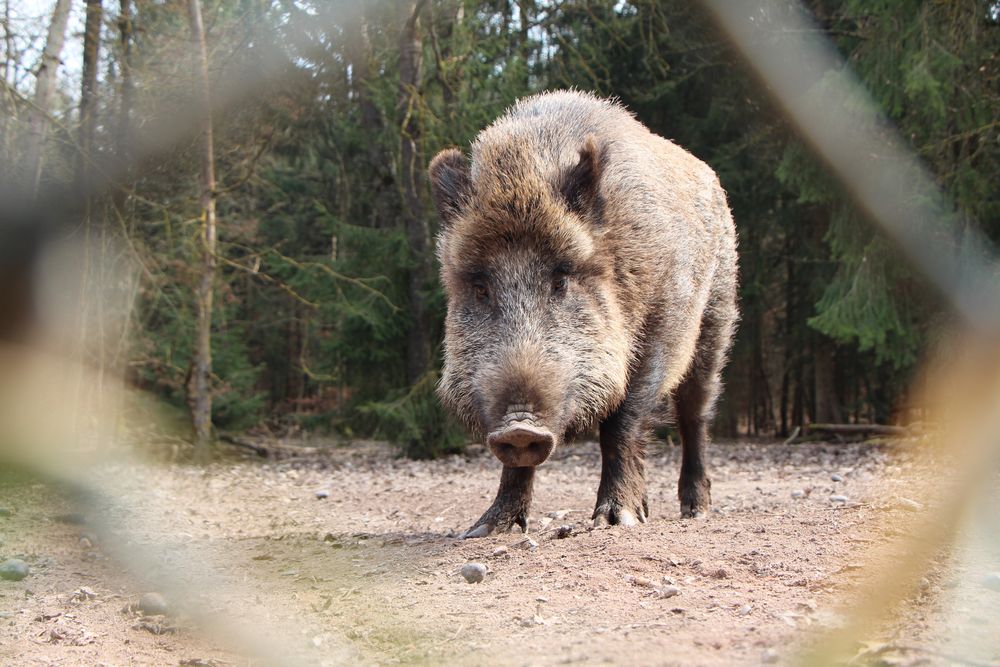 Warum schaust du mich so an?