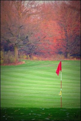 ... warum spielt denn keiner ?