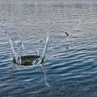 Warum springen Steine übers Wasser?