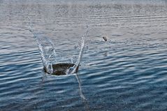 Warum springen Steine übers Wasser?