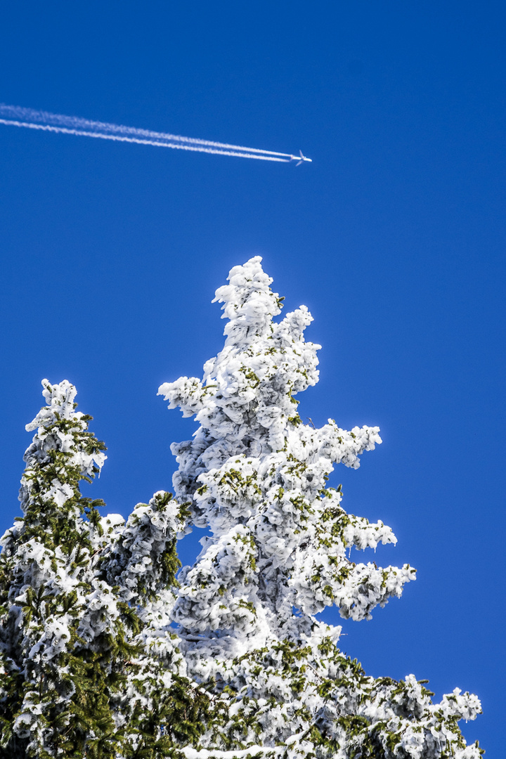 Warum wegfliegen ?