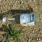 Warum werden immer noch Glasflaschen in der Natur entsorgt ?