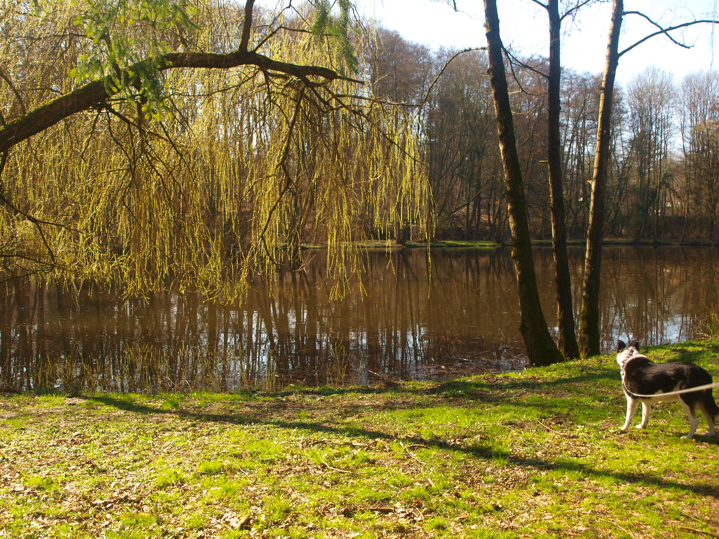 was alles sich so im Wasser spiegelt 