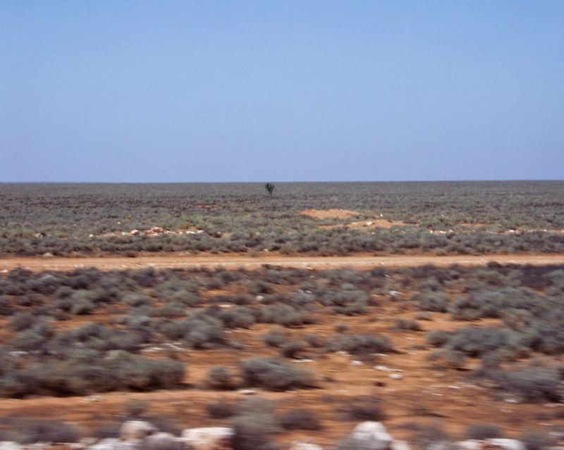 Was bedeutet Nullabor Plain?