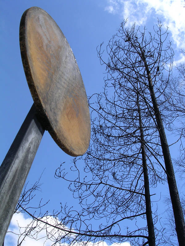 Was beim Waldbrand übrig bleibt ...