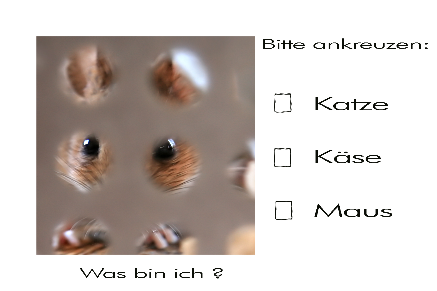 Was bin ich?