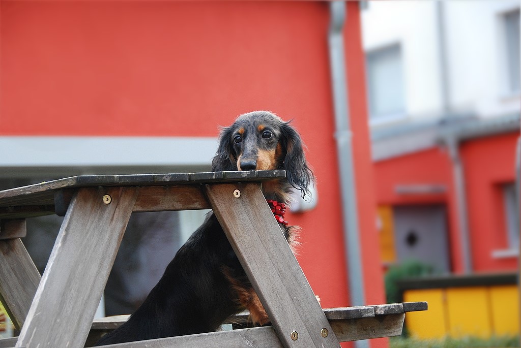 Was bin ich schön heute !