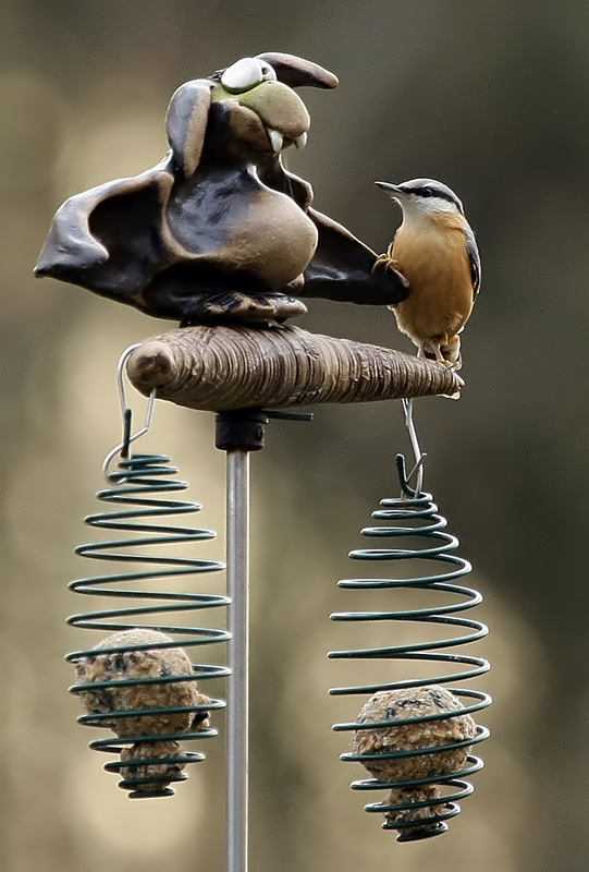 Was bist du denn für`n Vogel?