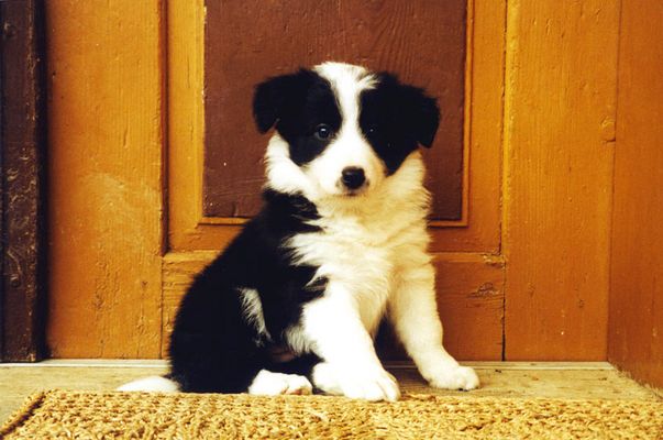 Was bringt das Leben ?