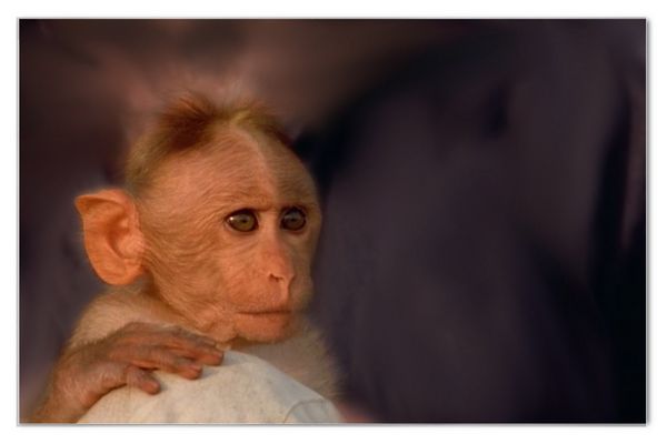 Was da wohl passiert?