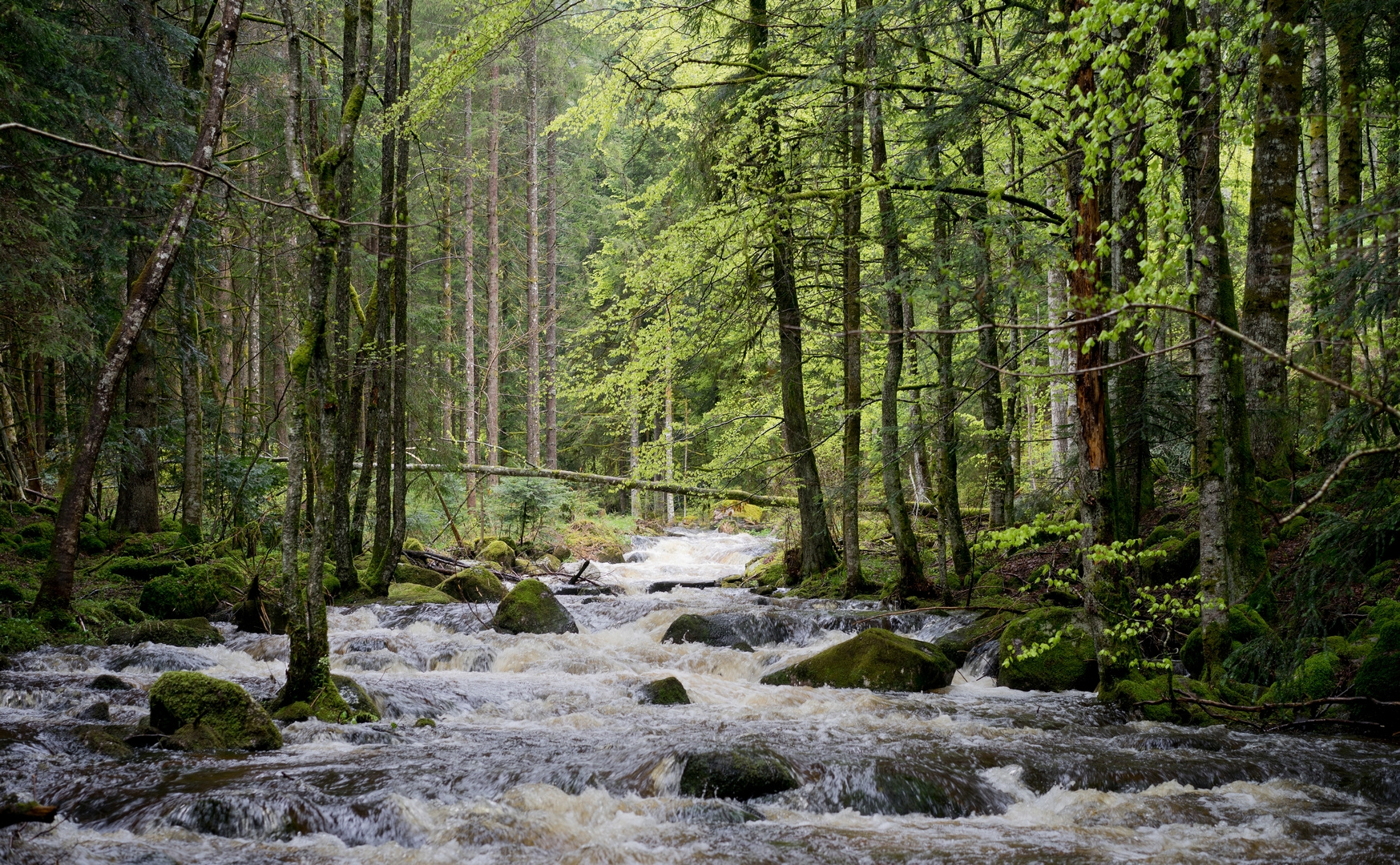 Was Dauerregen so bewirkt