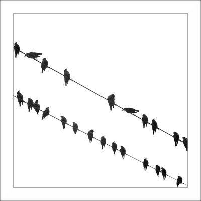 was dem Geiger durch den Kopf ging