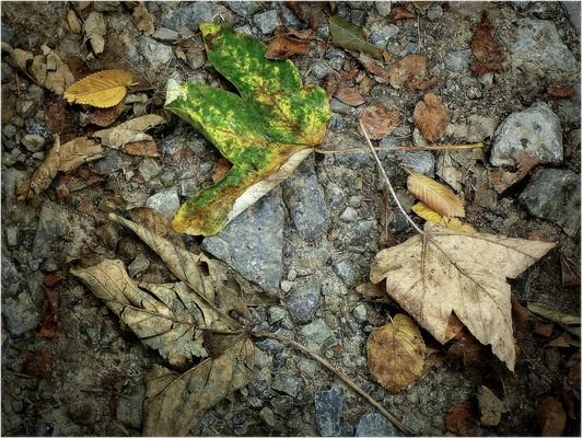 Was denn - schon wieder Herbst?