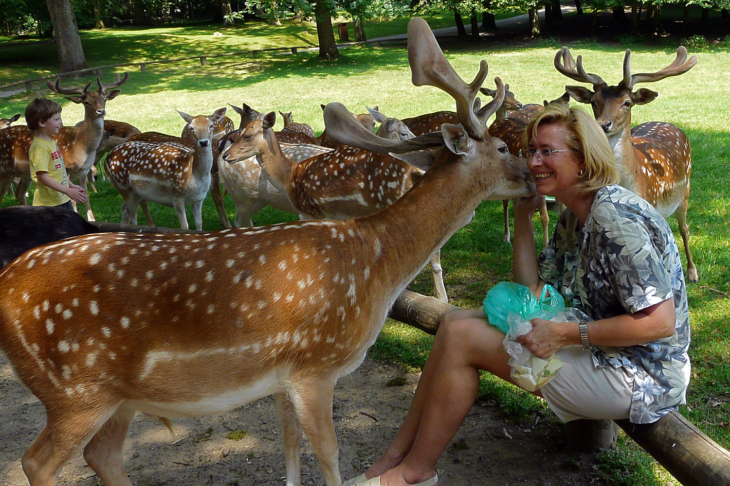 Was der Hirsch Carina wohl ins Ohr flüstert - oder ist das ein Begrüßungskuss?