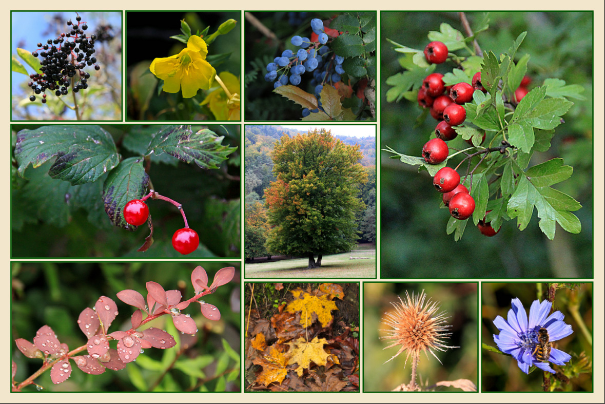 WAS DER OKTOBER UNS BRACHTE