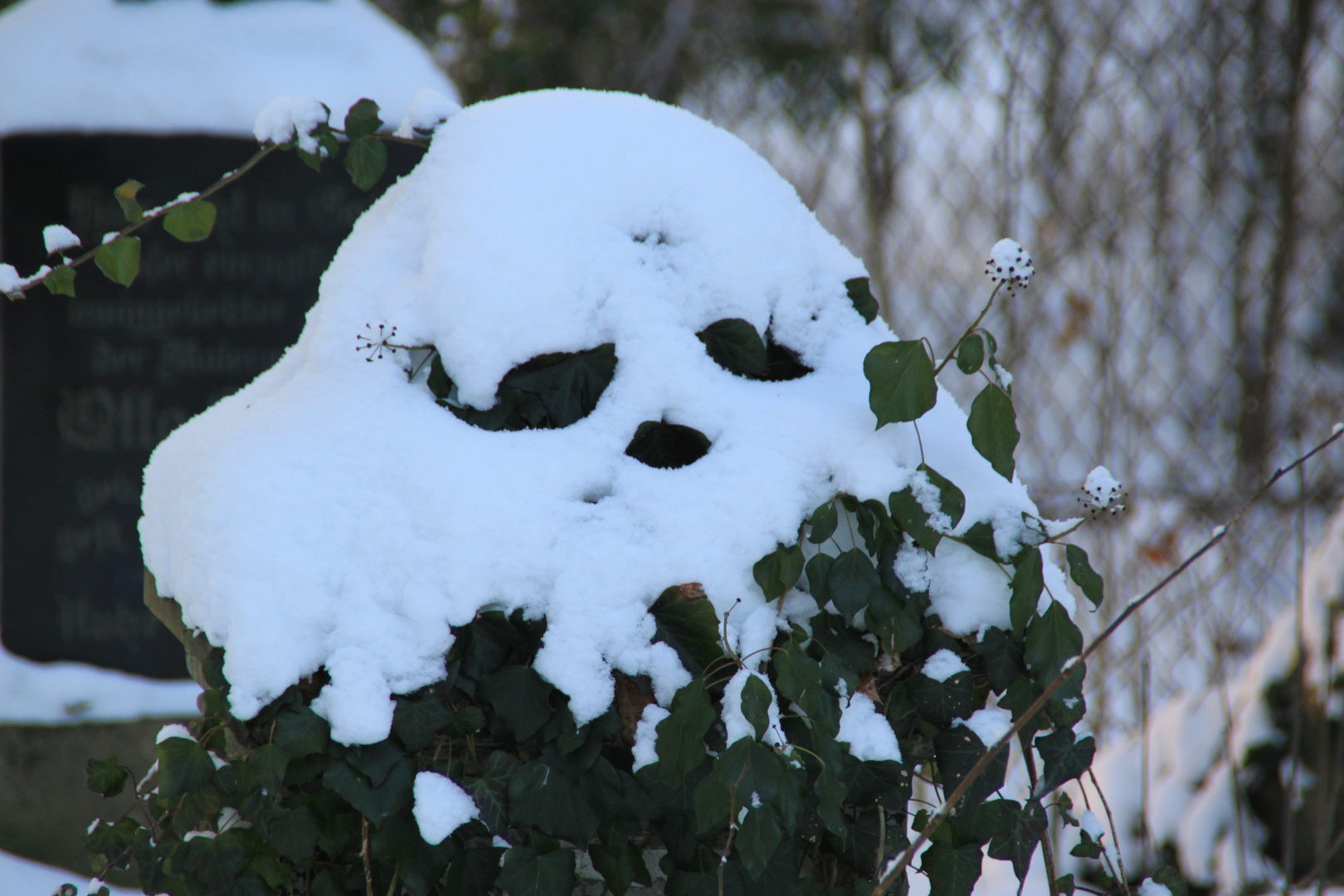 Was der Winter so hervorbringt