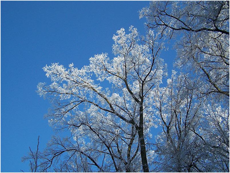 Was der Winter so zaubert