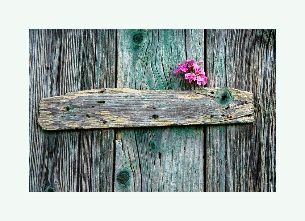 Was die Natur so alles treibt oder Werk eines Fotografen ?! II