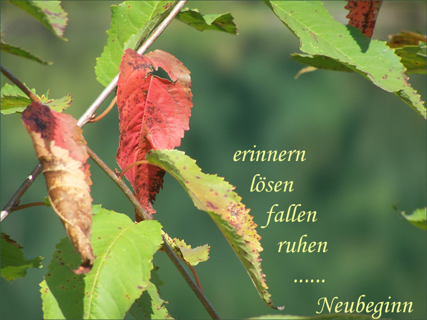 Was die Natur uns lehrt