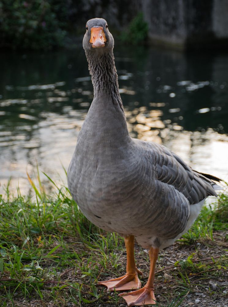 Was? Du willst mich fotografieren