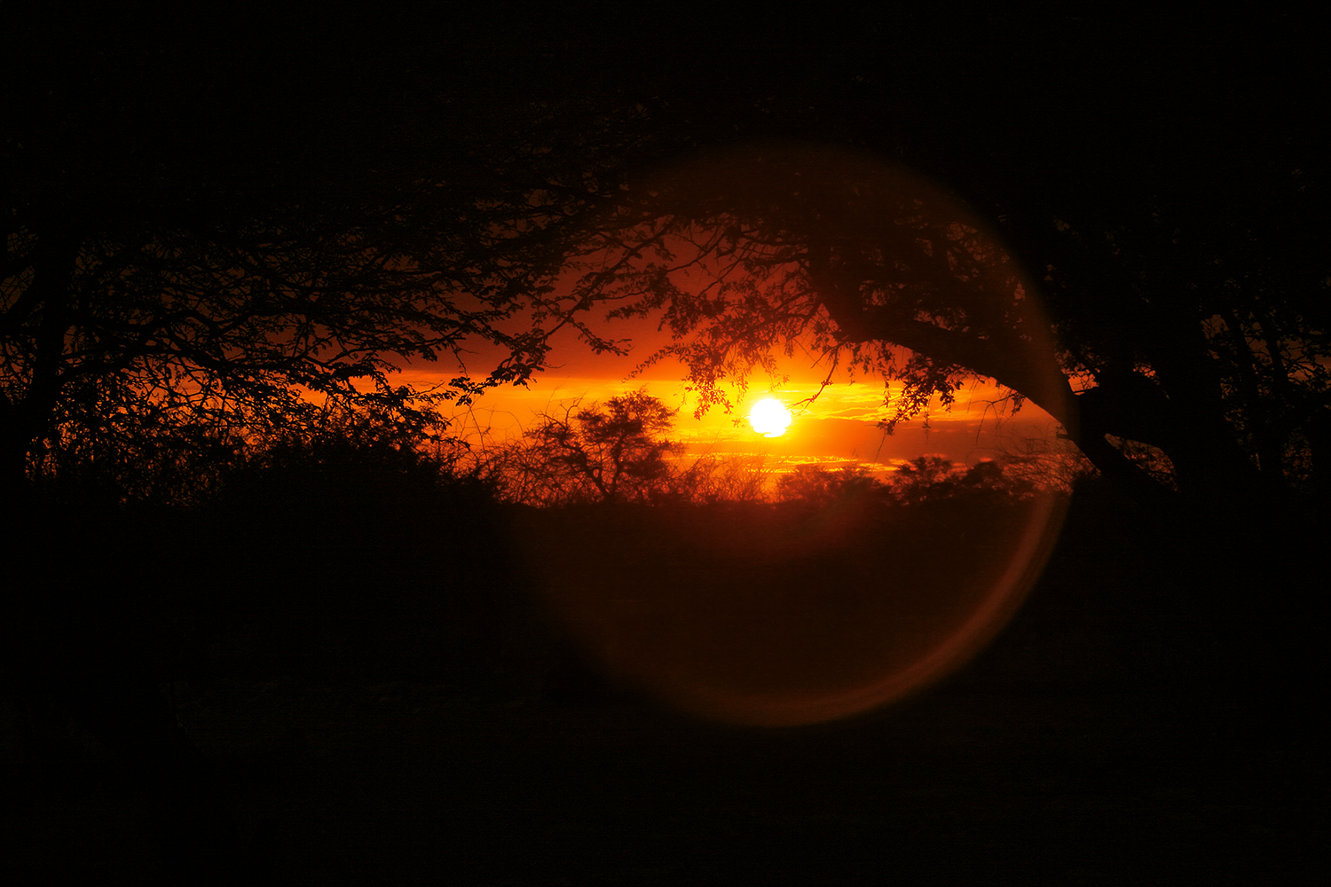 Was ein Sonnenuntergang aus Landschaft macht...