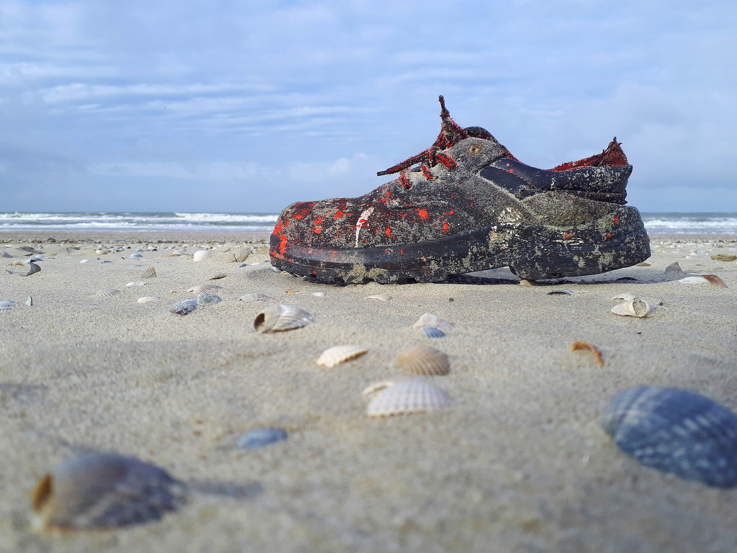 Was es nicht alles am Strand von Texel zu finden gibt :-)