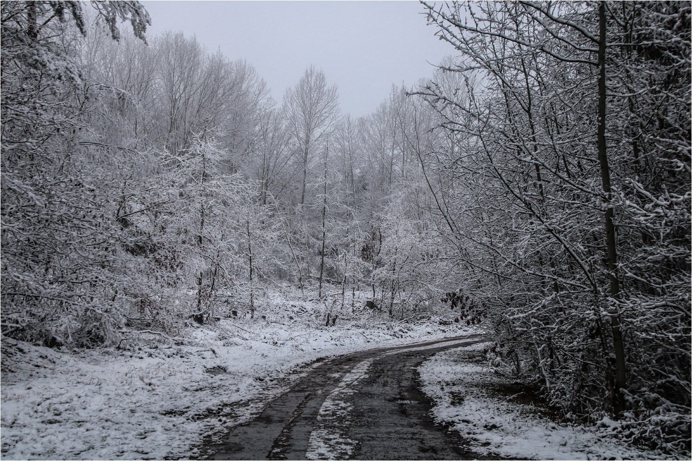 Was etwas Schnee so ausmacht (4)