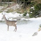 Was fotografierst du - mich?