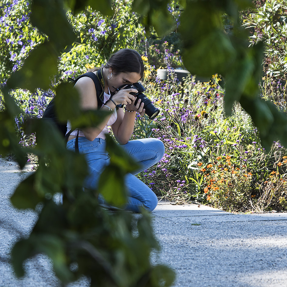 Was fotografiert sie denn da ?