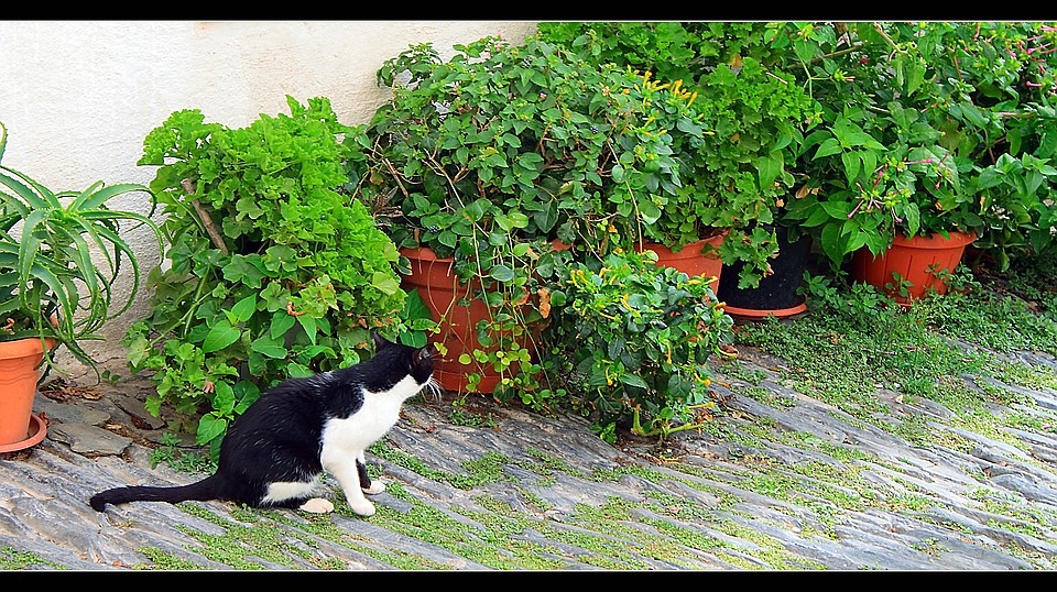 Was fressen wir denn heute ??