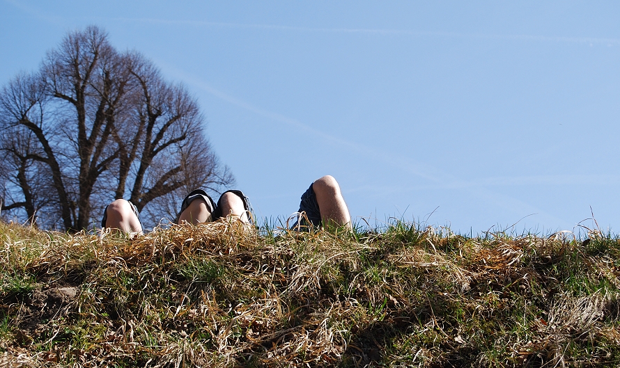 was freu ich mich wieder auf den Frühling..... !!!