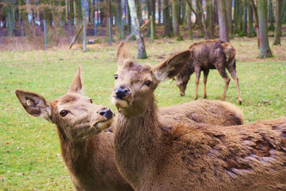 Was frisstn du da???