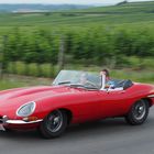 Was für E ine Type - Oldies 2015