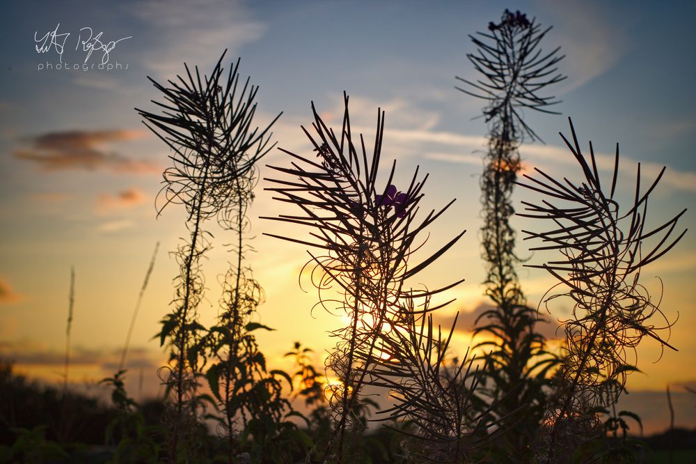 Was für ein Abend&hellip; Foto &amp; Bild | landschaft, fotos, outdoor Bilder
