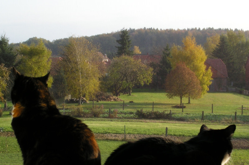 was für ein Ausblick!