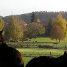 was für ein Ausblick!